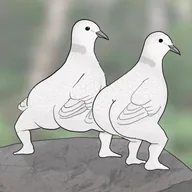 barefootpigeons (BFP) token icon