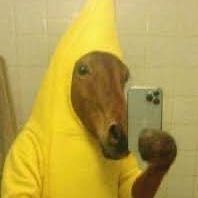 banana horse (BHORSE) token icon
