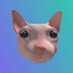 Bingus The Cat (BINGUS) token icon