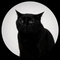 The Black Cat (BLACKCAT) token icon