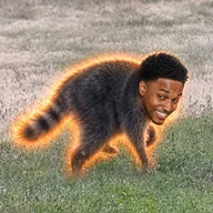 Black The Raccoon (BLACKMOTHY) token icon