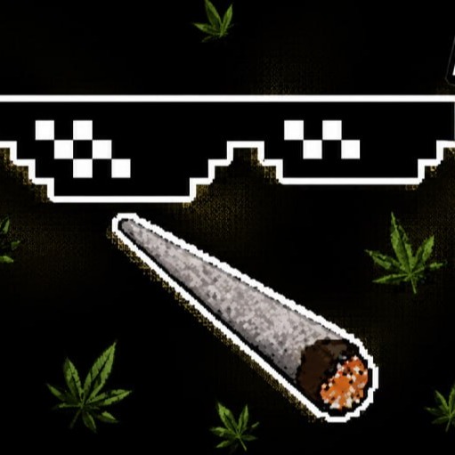 Bitches Money No Taxes Party (BMNTP) token icon