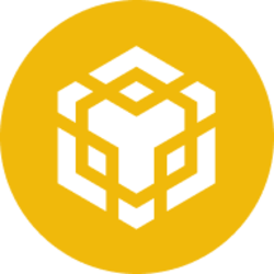 BNB (BNB) token icon