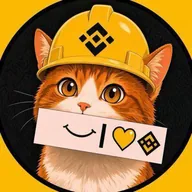 BNBCAT (BNBCAT) token icon