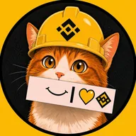 Binance Cat (BNBCAT) token icon