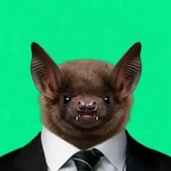 Bat On Finance (BOF) token icon