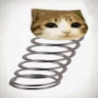 boing cat (BOING) token icon