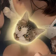 catwifboobs (BOOBS) token icon