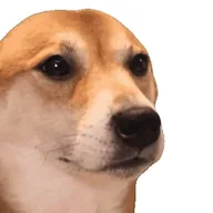 bopdog (BOPDOG) token icon