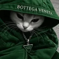 Bottega Cat (BOTTEGA) token icon