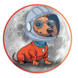 Bowie (BOWIE) token icon