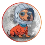 Bowie (BOWIE) token icon