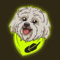 Robinhood Dog (BRODIE) token icon