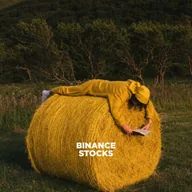 Binance Stocks (BS) token icon