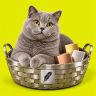 Basket Cat (BSKCAT) token icon