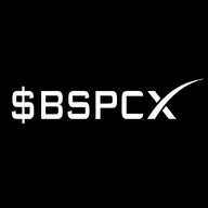Baby SpaceX (BSPCX) token icon