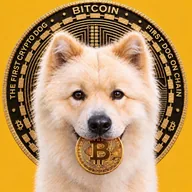 BUDDY - First Crypto Dog (BUDDY) token icon