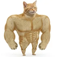 Buff Cat (BUFFCAT) token icon