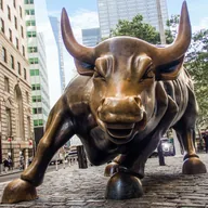 Wall Street Bull (BULL) token icon