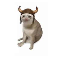 The Bull Cat (BULLCAT) token icon