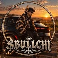 Aura Boss (BULLCHI) token icon