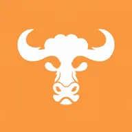 The Bull Coin (BULLCOIN) token icon