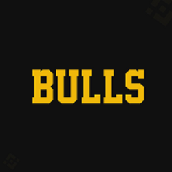Bulls (BULLS) token icon