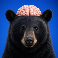 bear wif brains (BWB) token icon