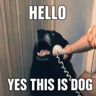 HelloYesThisIsDog (CALLDOG) token icon