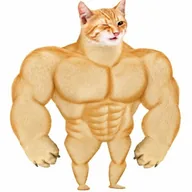 capitalcat (CAPITALCAT) token icon