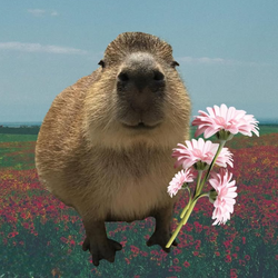Capybara (CAPY) token icon