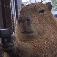Capybara With A Gun (CAPYBARA) token icon