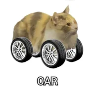CAR (CAR) token icon