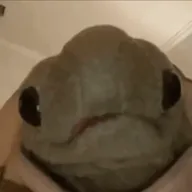 Carl The Turtle (CARL) token icon