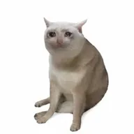 Cash Cat (CASHCAT) token icon