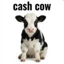 cash cow (CASHCOW) token icon