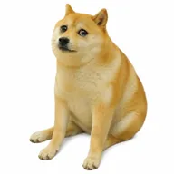 Cash Dog (CASHDOG) token icon