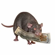 cashrat (CASHRAT) token icon
