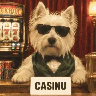 casinu (CASINU) token icon