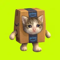 cat in box (BOXCAT) token icon
