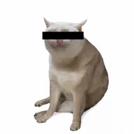 ████ Cat (CAT) token icon