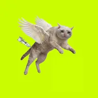 Flying Ketamine Cat (CATAMINE) token icon