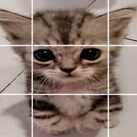catcha (CATCHA) token icon