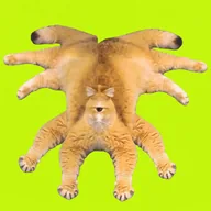 catclops (CATCLOPS) token icon