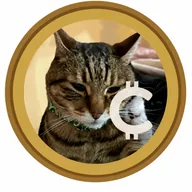 CATECOIN (CATE) token icon