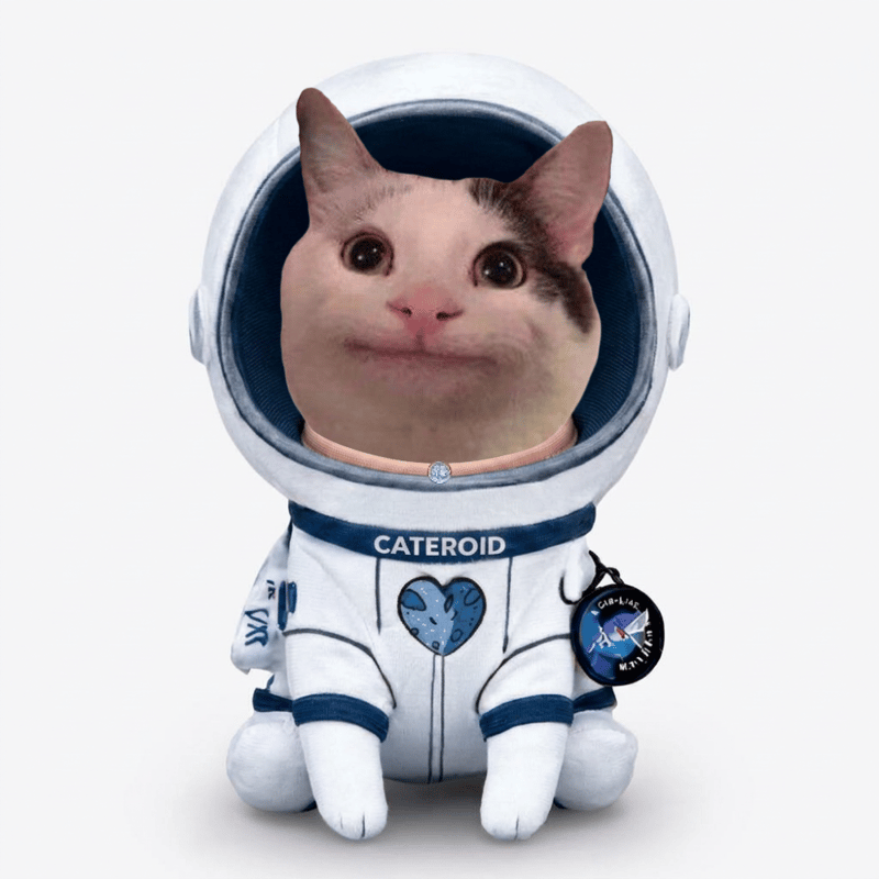 Cateroid Space (CATEROID) token icon