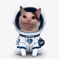 Cateroid Space (CATEROID) token icon