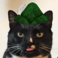 Cat in Robinhood Hat (CATHAT) token icon