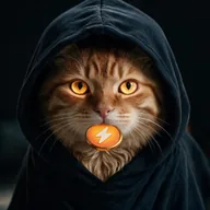 Catoshi Rush (CATOSHI) token icon
