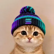 CATSOLANA (CATSOLANA) token icon